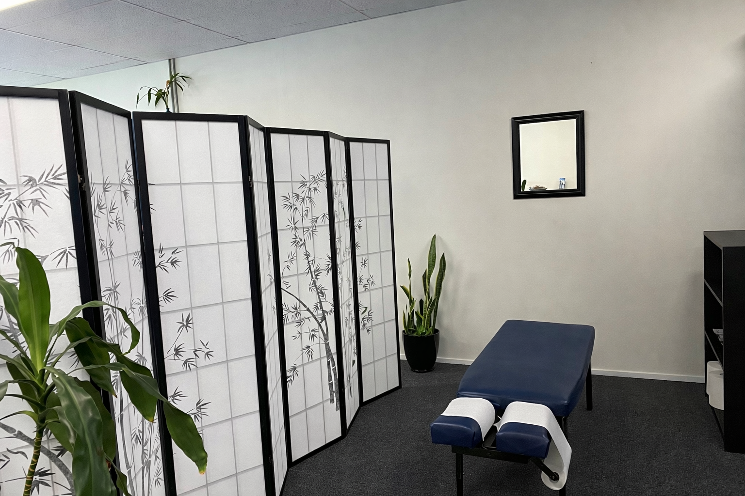 Treatment room